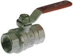 1  NL BRASS BALL VALVE Supply